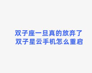 双子座一旦真的放弃了 双子星云手机怎么重启